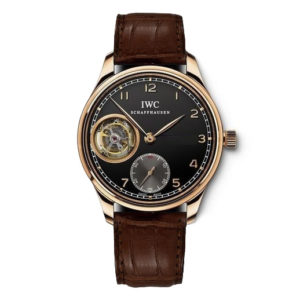 Фото 64 - IWC Portugieser IW544