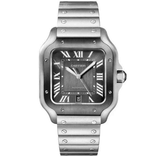 Товар Cartier Santos De Cartier 40mm WSSA0037 Фото 1 - Cartier Santos De Cartier 40mm WSSA0037