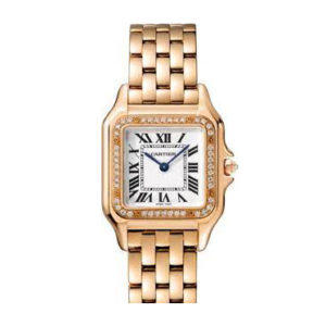 Фото 58 - Cartier Panthere de Cartier 27mm WJPN0009