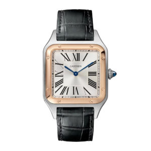 Фото 38 - Cartier Santos Dumont W2SA0017