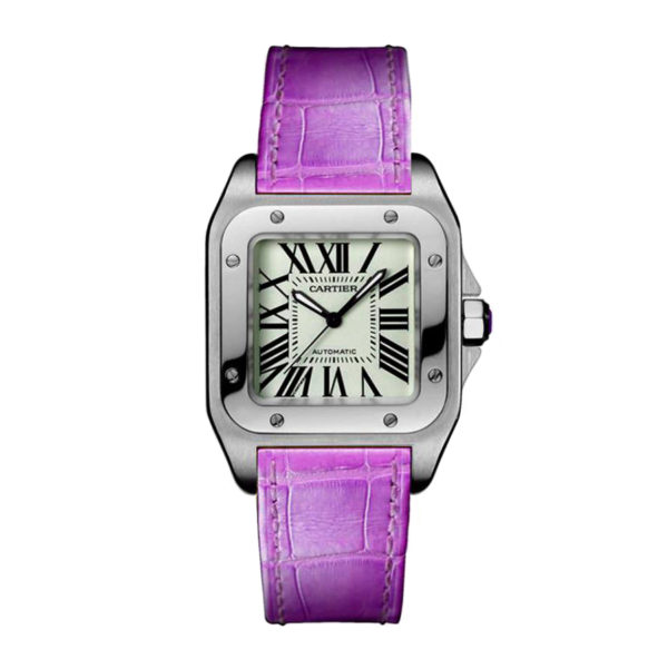 Товар Cartier Santos 100 W20126X8 Фото 1 - Cartier Santos 100 W20126X8