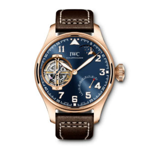 Фото 42 - IWC Pilot`s Watches IW590303