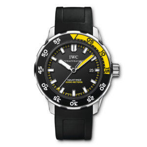 Фото 35 - IWC Aquatimer IW356810