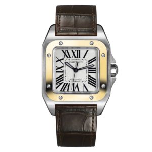 Фото 18 - Cartier Santos 100 W20107X7