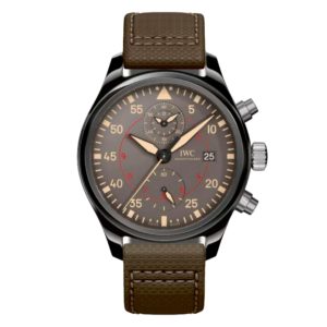 Фото 47 - IWC Pilot`s Watches IW389002 Top Gun