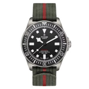 Фото 20 - Tudor Pelagos m25717n-0001