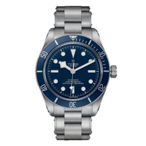 Фото 52 - Tudor Black Bay m79030b-0001