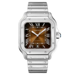 Фото 47 - Cartier Santos de Cartier 40mm WSSA0064