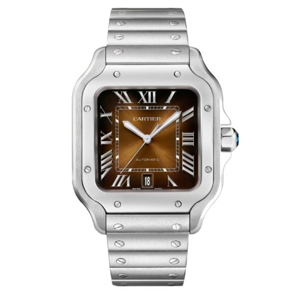 Товар Cartier Santos de Cartier 40mm WSSA0064 Фото 1 - Cartier Santos de Cartier 40mm WSSA0064