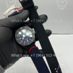 2025-01-22 08.21.52