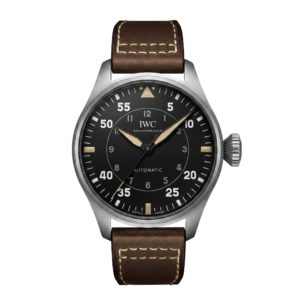 Фото 49 - IWC Pilot`s Watches IW329701